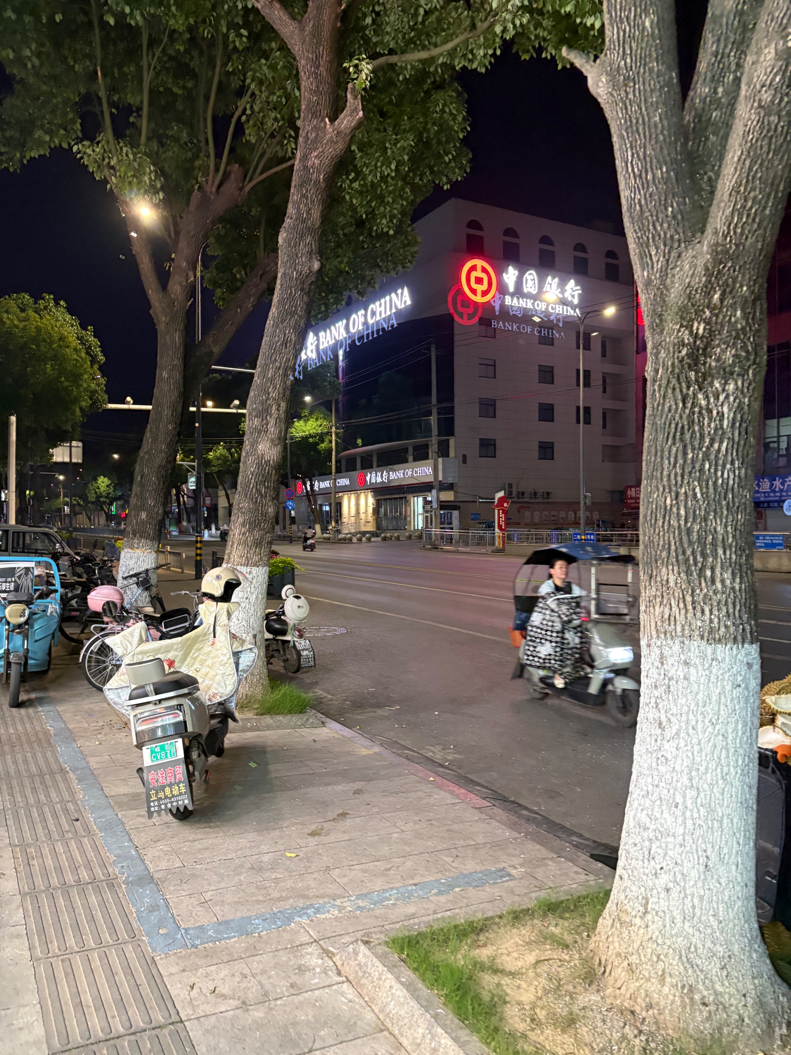 IMG_5799.jpeg