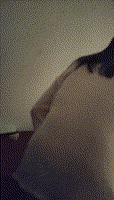 ucgif_20260517174118.gif