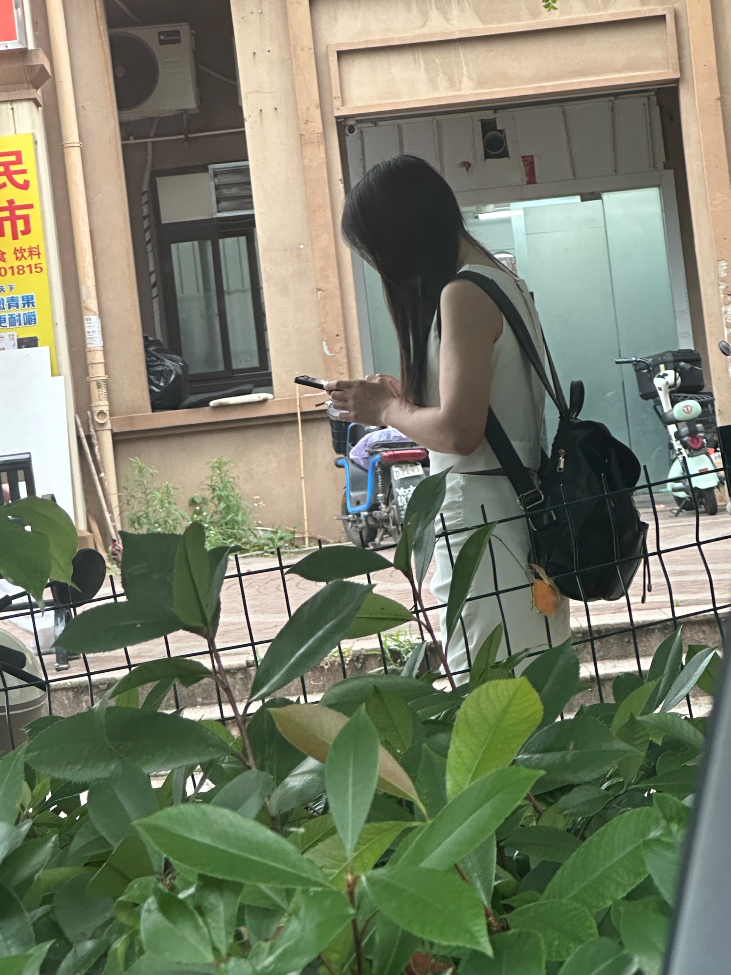 IMG_2908.jpeg