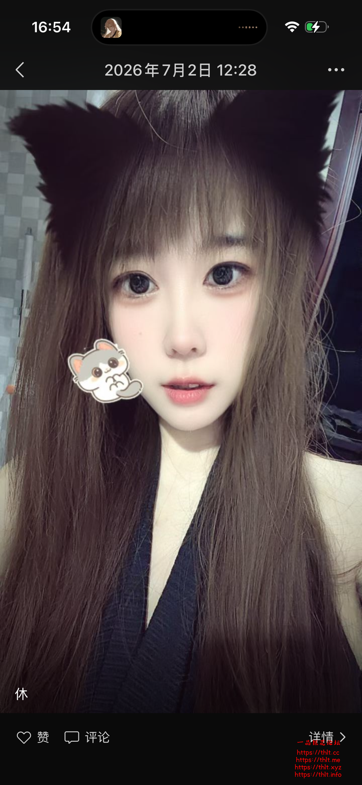 IMG_0221.png